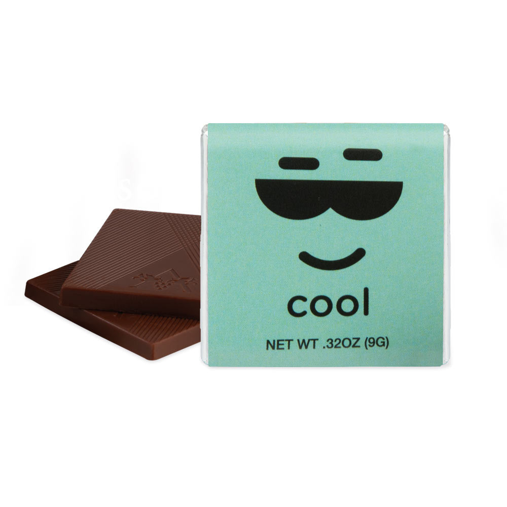 Moodibars - COOL - Mint Dark Chocolate (1.75