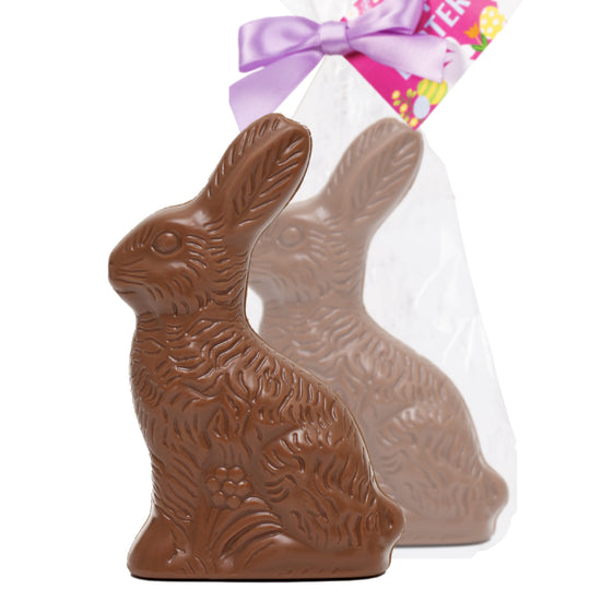 Spring - Milk Chocolate 10oz Solid Bunny